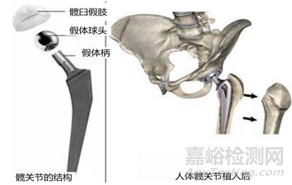 生物医用钛合金