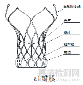 经导管主动脉瓣膜系统注册技术审评报告