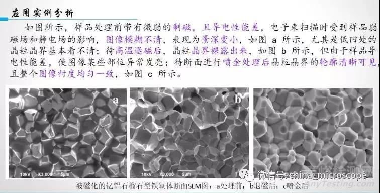 实例分析如何获得高质量SEM照片