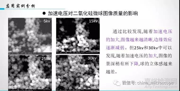 实例分析如何获得高质量SEM照片