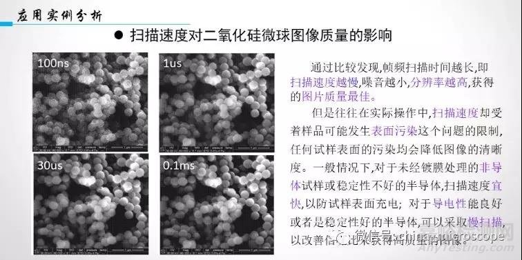 实例分析如何获得高质量SEM照片