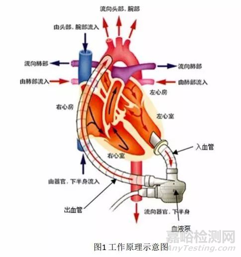 国内首款人工心脏技术评审报告