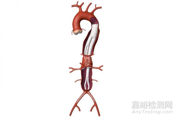 盘点2019年十大FDA突破性医疗器械