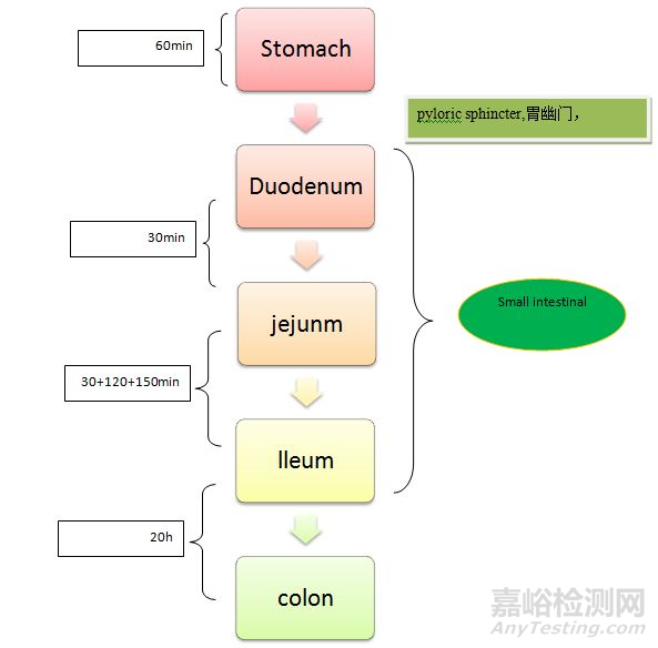 从药物体内吸收过程认识制剂开发