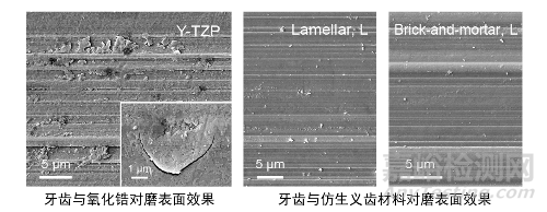 中科院研发出新型氧化锆-树脂仿生复合义齿材料