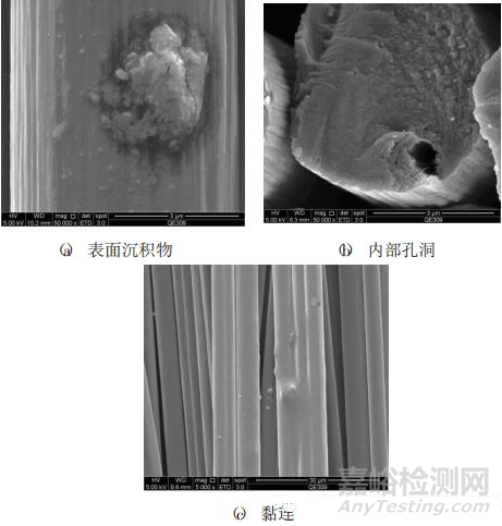 扫描电镜在PAN基碳纤维形态结构表征中的应用