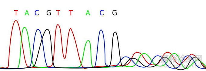 高效液相色谱（HPLC）日常维护和保养