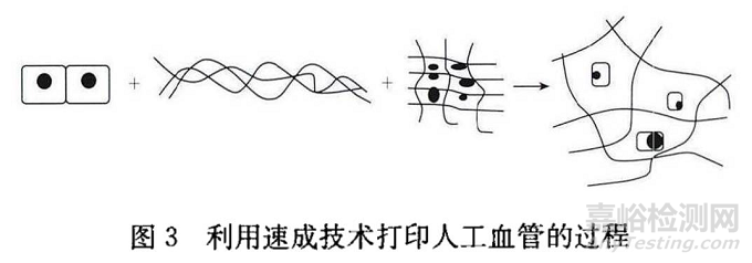 医用塑料管道产品的制备加工及其力学性能研究进展