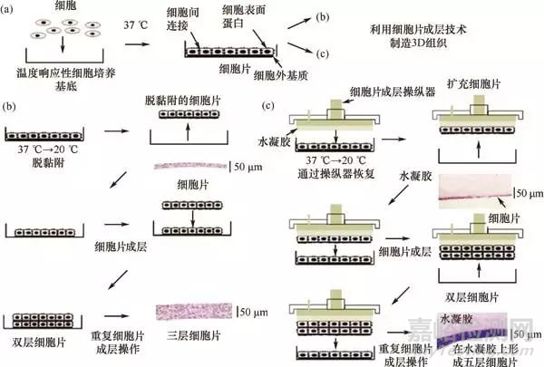 心血管医用材料的研究现状