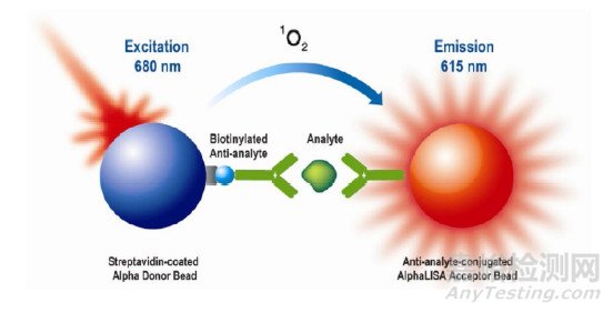 AlphaLISA方法测定抗白介素-17受体单抗生物学活性