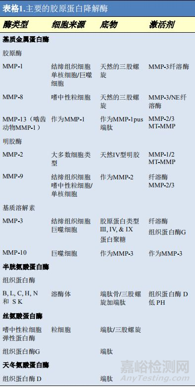 双美胶原蛋白植入体内降解过程及降解产物总结