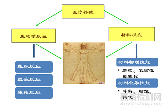 医疗器械生物学评价技术要求