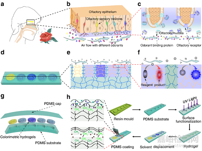 电子鼻更灵敏了