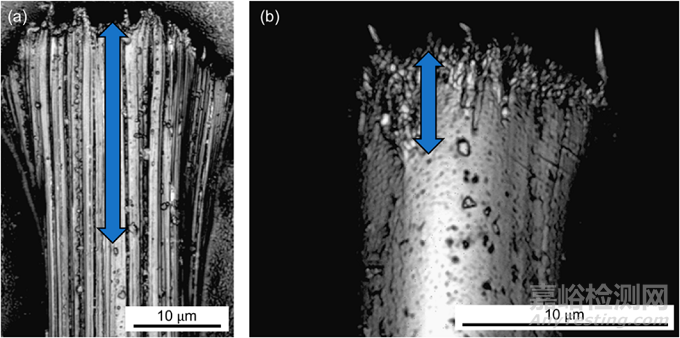 PPTA和UHMWPE纤维的失效机理