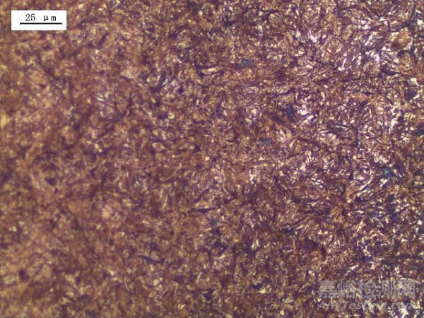 强力喷丸对18CrNiMo7-6钢不同硬化层深度齿轮的性能研究