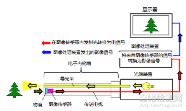 电子上消化道内窥镜注册技术审查指导原则（征求意见稿）全文发布