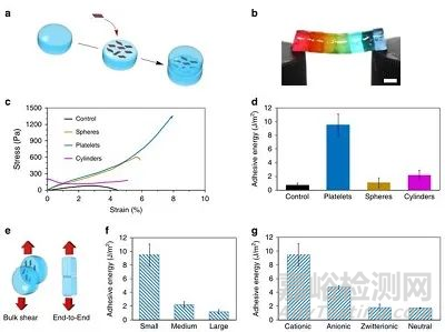 纳米颗粒的形状结构如何影响复合水凝胶的粘合性和机械性能 
