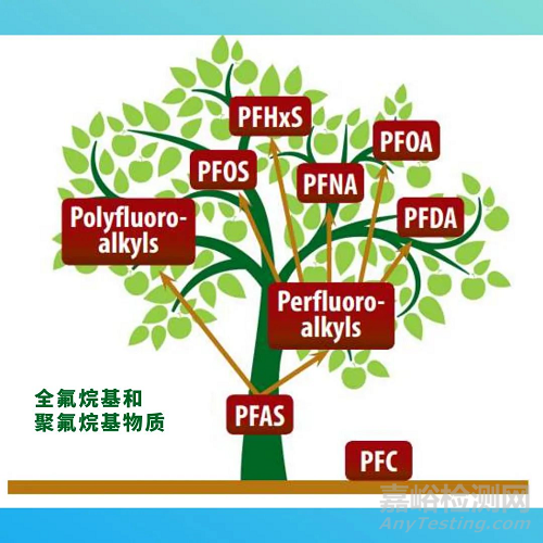 什么是PFAS？PFAS国内外法规要求与检测项目