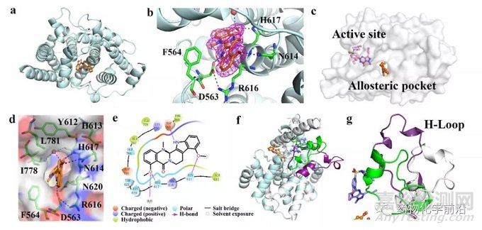 变构抑制剂：吴茱萸碱类衍生物靶向PDE5变构位点的发现