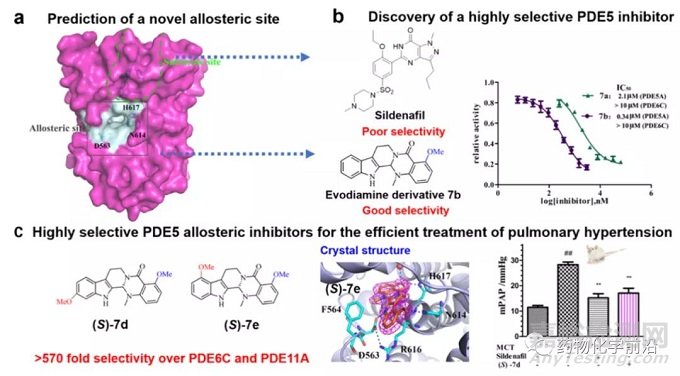 变构抑制剂：吴茱萸碱类衍生物靶向PDE5变构位点的发现