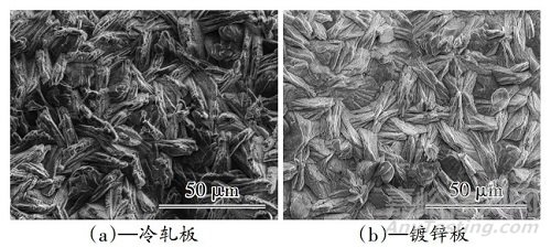 汽车涂装前处理磷化结晶粗厚缺陷研究