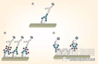 生物分析让ADC抗体偶联药物“精准制导”