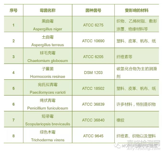 无人机地面环境适应性试验探讨（九）-霉菌试验