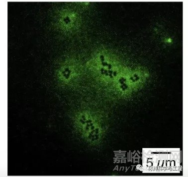 综述：自防御抗菌生物材料表面