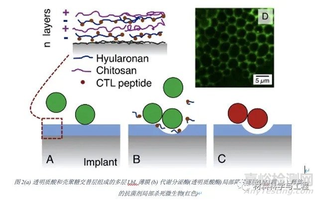 综述：自防御抗菌生物材料表面