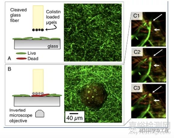 综述：自防御抗菌生物材料表面