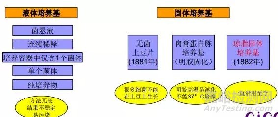 微生物菌群的分离纯化、培养、鉴定及保藏