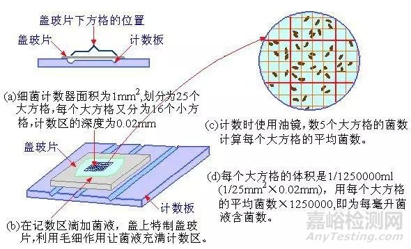 菌落总数的概念及检测方法