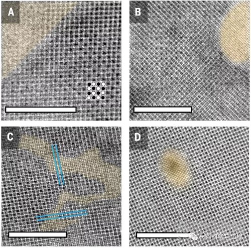 钙钛矿再次登顶《Science》！原子尺度揭示微观结构神秘面纱