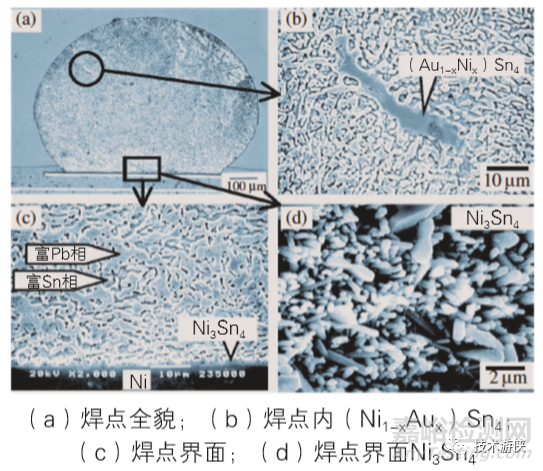 焊点性能严重劣化的不良微观组织