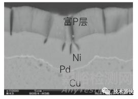 焊点性能严重劣化的不良微观组织