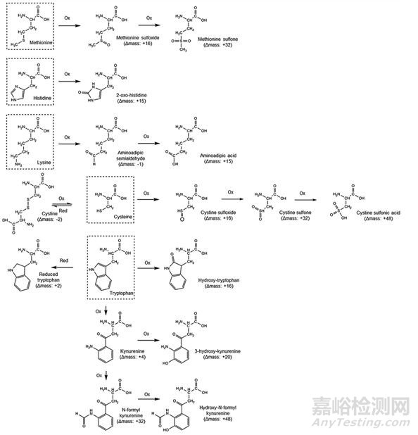 合成多肽药物质控及杂质谱研究