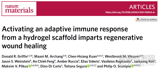 水凝胶支架可通过激活适应性免疫反应促进再生伤口愈合