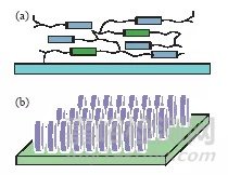 液晶聚合物-下一代功能显示和光学薄膜材料