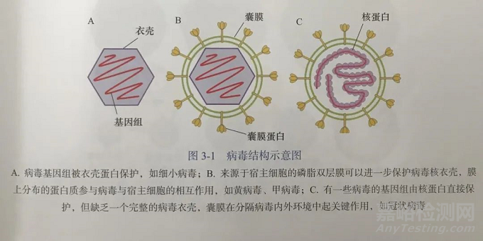 4种病毒灭活试验方法