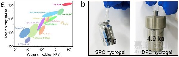 中科院兰州化物所王晓龙研究员团队实现超高强韧水凝胶3D打印