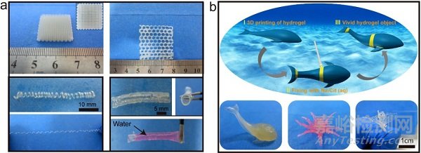 中科院兰州化物所王晓龙研究员团队实现超高强韧水凝胶3D打印