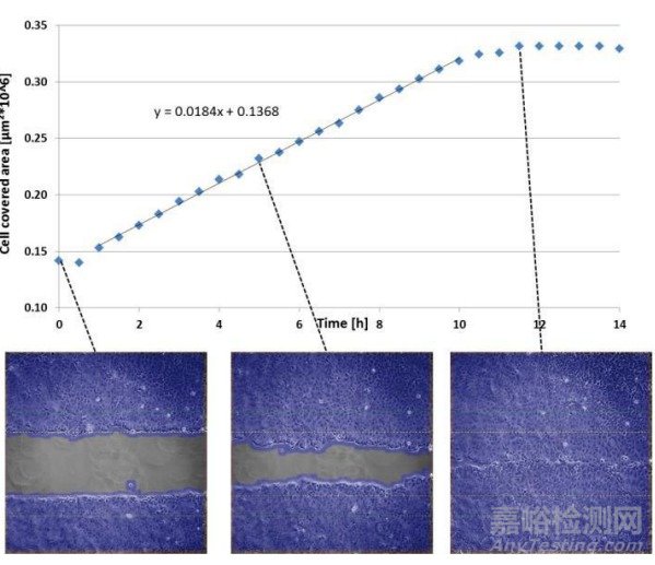 细胞划痕实验新方法详解