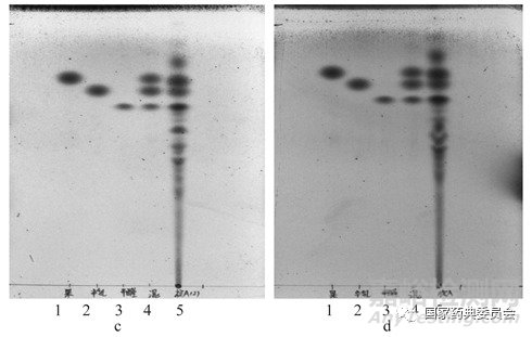 图1  4℃(a)和26 ℃(b)果胶薄层色谱图