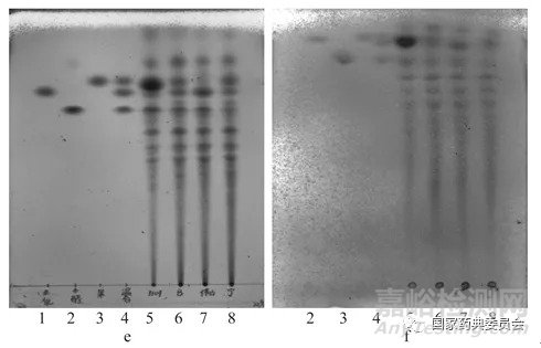 图2  32%(c)和80%(d)的果胶薄层色谱图
