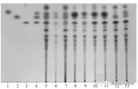 图3  不同薄层板的果胶薄层色谱图