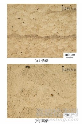 固溶和时效处理对选区激光熔化成形GTD222镍基合金组织和硬度的影响