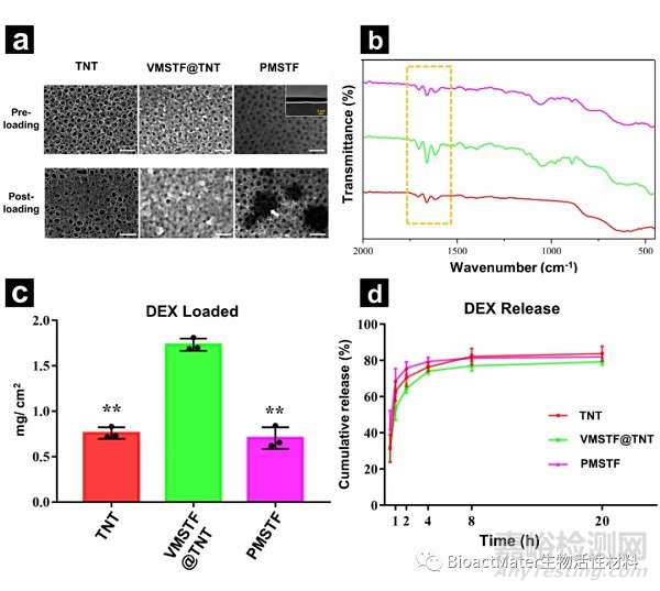 钛纳米多孔结构表面垂直向介孔二氧化硅薄膜的制备及生物学评价