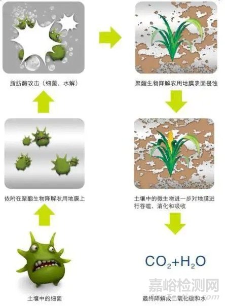 可生物降解材料的特点、分类和应用及降解机理