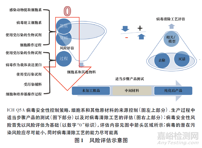 生物制品病毒安全性控制的核心理念探讨