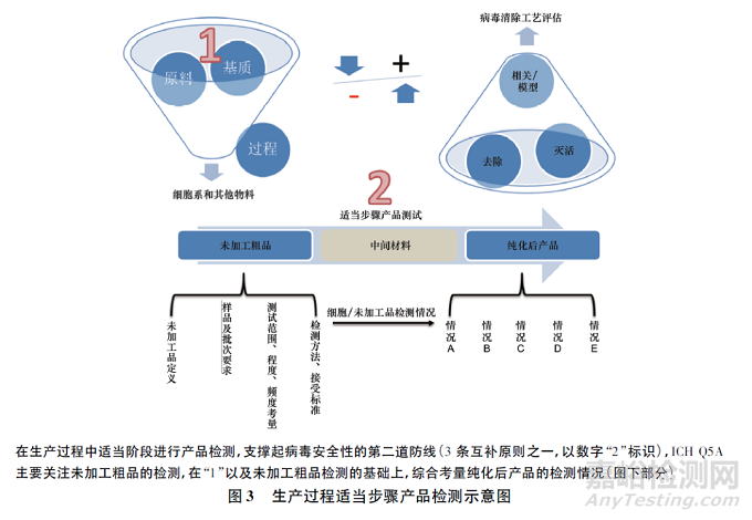 生物制品病毒安全性控制的核心理念探讨